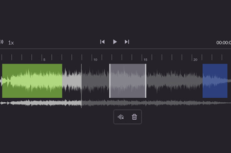 Audio Annotation