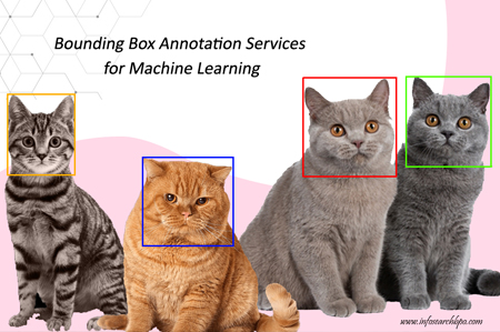 Object Detection Annotation